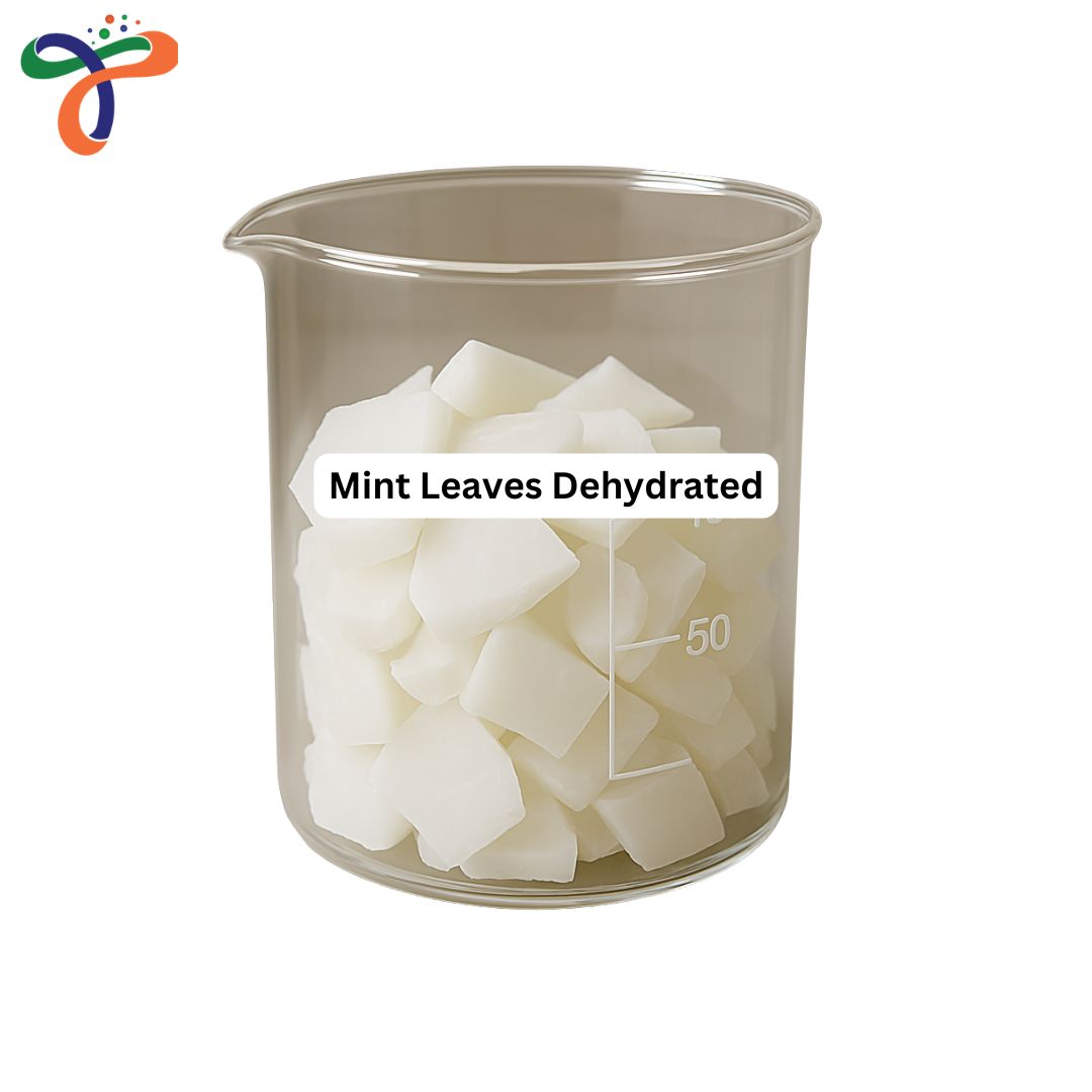 Mint Leaves Dehydrated